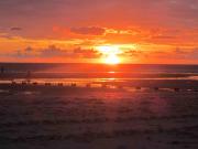 Jersey Tour Aug 2014-15 beach bbq sunset