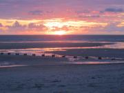 Jersey Tour Aug 2014-18 beach bbq sunset