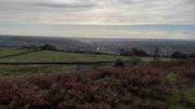 20231029 BCB Social Walk Baildon Moor-02c