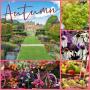 BCB Harrogate Flower Show - Newby Hall